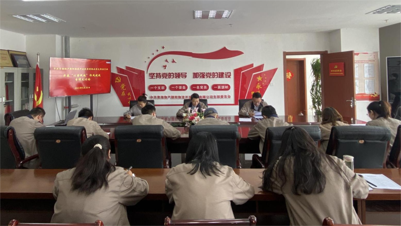 以案促改转作风 坚守底线树新风   &mdash;&mdash;青海物产朝阳物流开发投资有限公司支部委员会开展&ldquo;以案促改&rdquo;作风建设专项大讨论