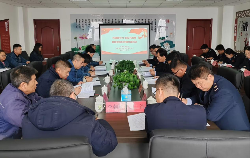 共建聚合力 税企共发展&mdash;&mdash;工投公司举办基层党组织联建共建活动