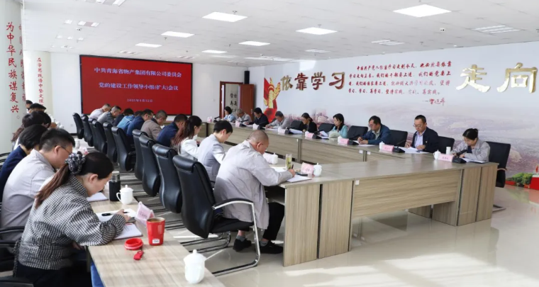 ok138cn太阳集团古天乐党委召开党的建设工作领导小组（扩大）会议