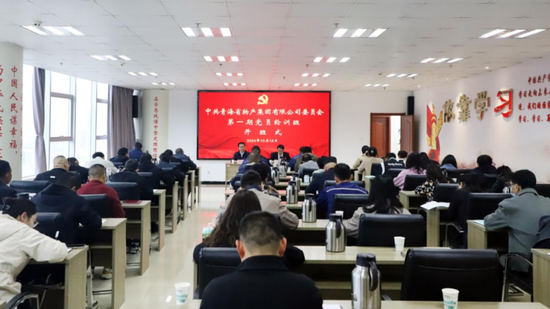 铸魂强基 聚力赋能&mdash;&mdash;集团党委2024年第一期党员轮训班圆满结束