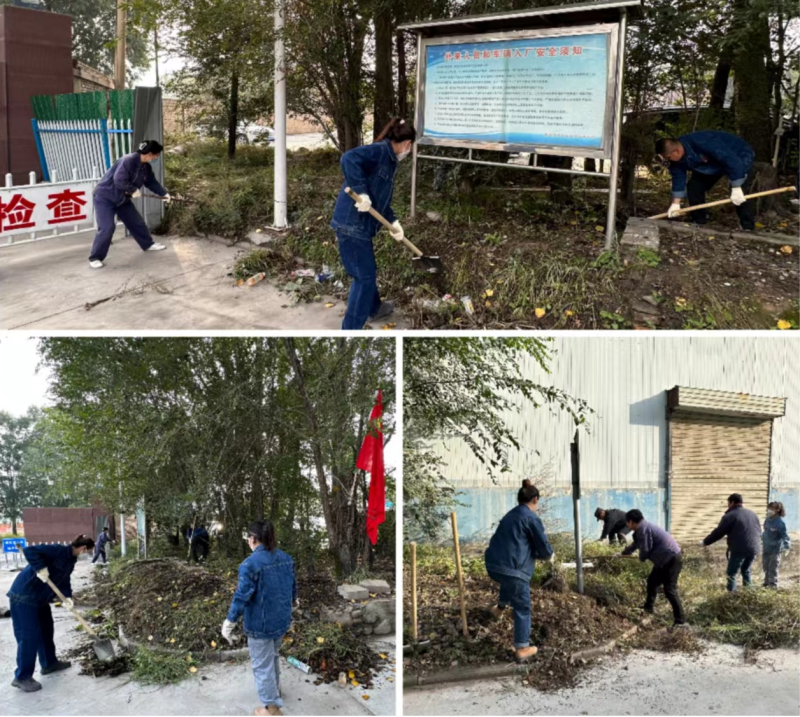 公司两级党组织 团支部联合行动 组织开展&ldquo;清除杂草 美化环境&rdquo; 主题党日 团日活动