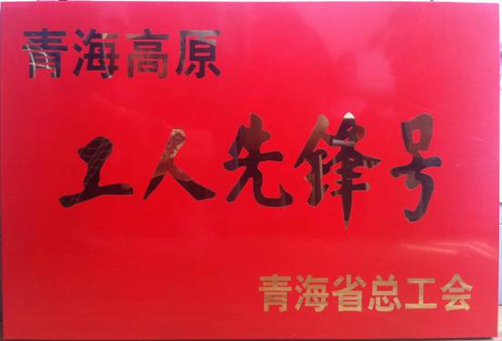 祝贺特铝合金公司铸造车间获得青海高原&ldquo;工人先锋号&rdquo;荣誉称号