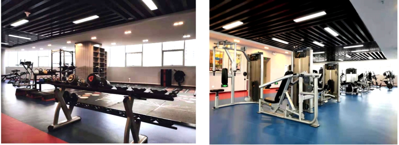 展运动风采  铸物产辉煌――&ldquo;青物集团健身中心&rdquo;开始试营业